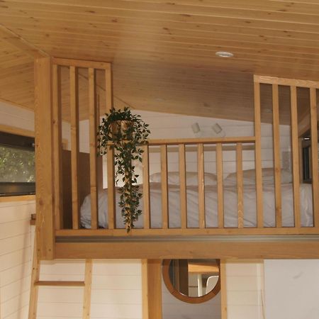 Tiny Gaumaise - Tiny House A Saint-Leger Eksteriør billede